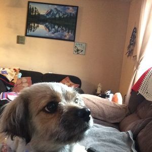 Meet your Posher, Rose